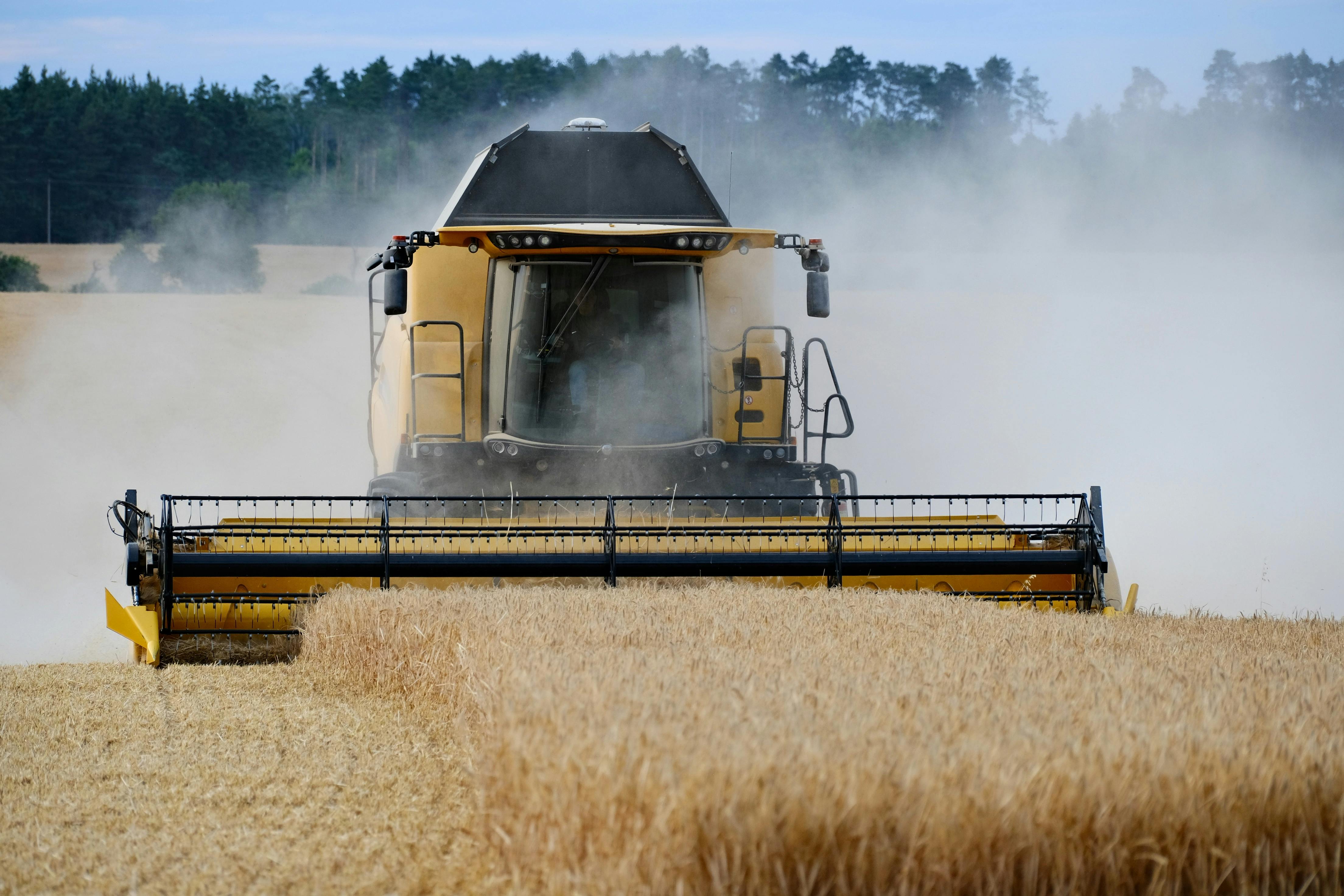 Food Revolution Vision